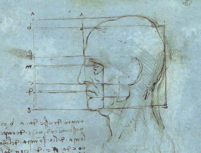 Рисунок «Голова» Леонардо да Винчи (1490 год)